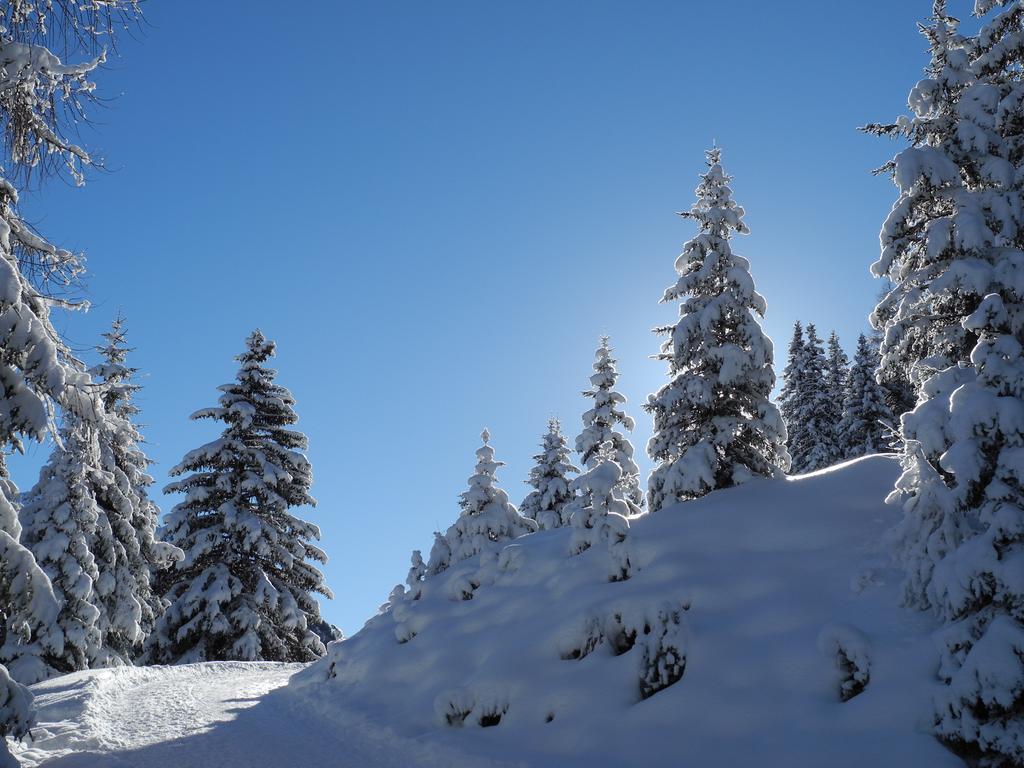 Shima-Davos Bed & Breakfast Dış mekan fotoğraf